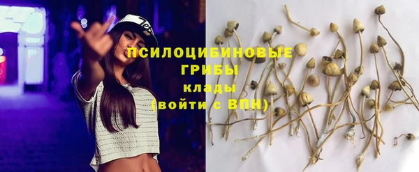 эйфоретик Магас