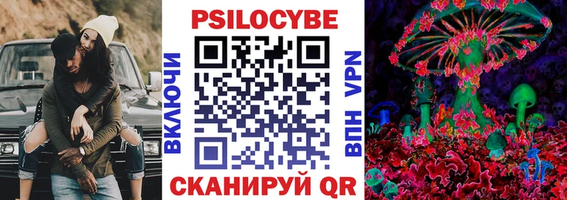 Купить  Мончегорск  Псилоцибиновые грибы Cubensis 